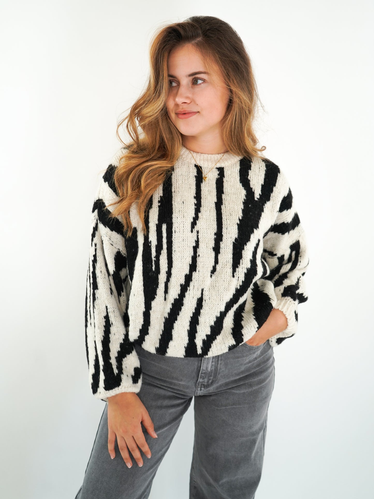 Zebra Strick Pullover - Schwarz mit Weiß